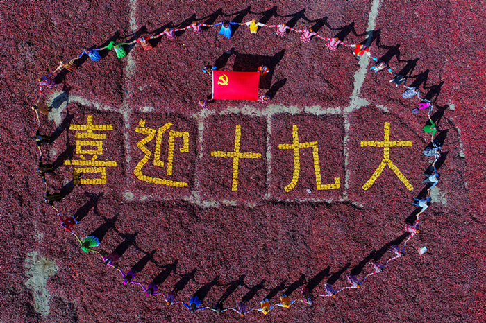 1509008519185004737.jpg 1_副本.jpg
