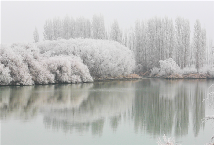 1513685362712075283.png 图七:雪后焉耆,在开都河畔形成雾凇.png