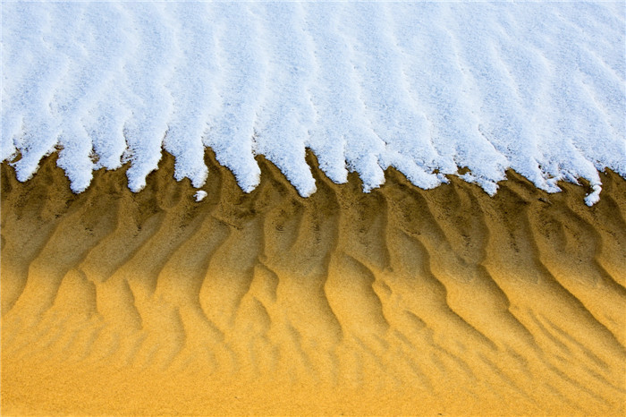 1513685555779069449.jpg 图十:沙韵雪 .jpg